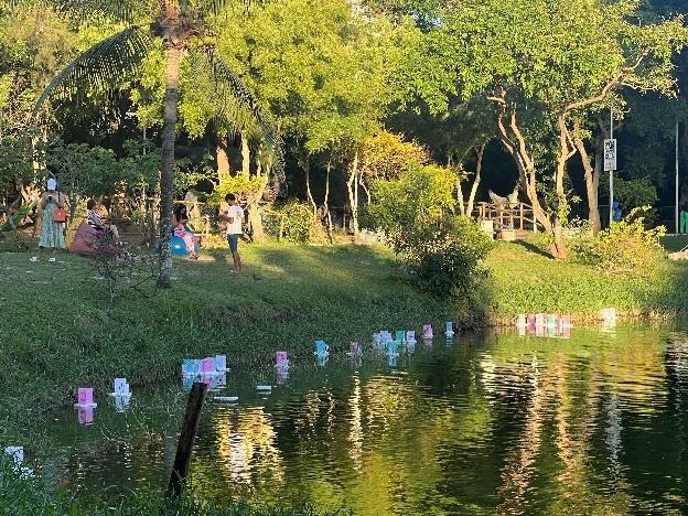 Lanternas coloridas flutuam sobre a água durante o Tōrō Nagashi, em área verde do Parque Lagoa dos Dinossauros, ao entardecer.
